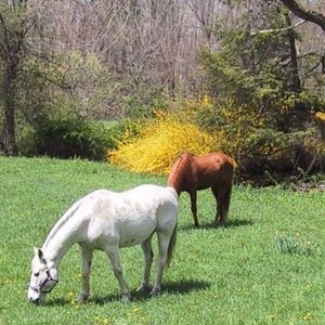 Meet your Posher, Jane